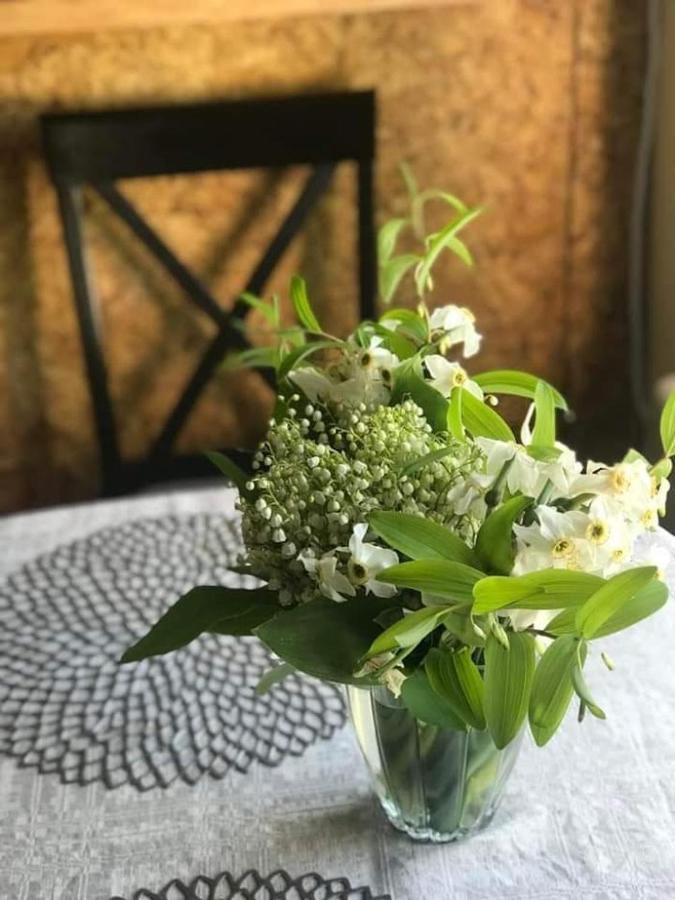 Kica Kroga Apartaments Ainazi Luaran gambar