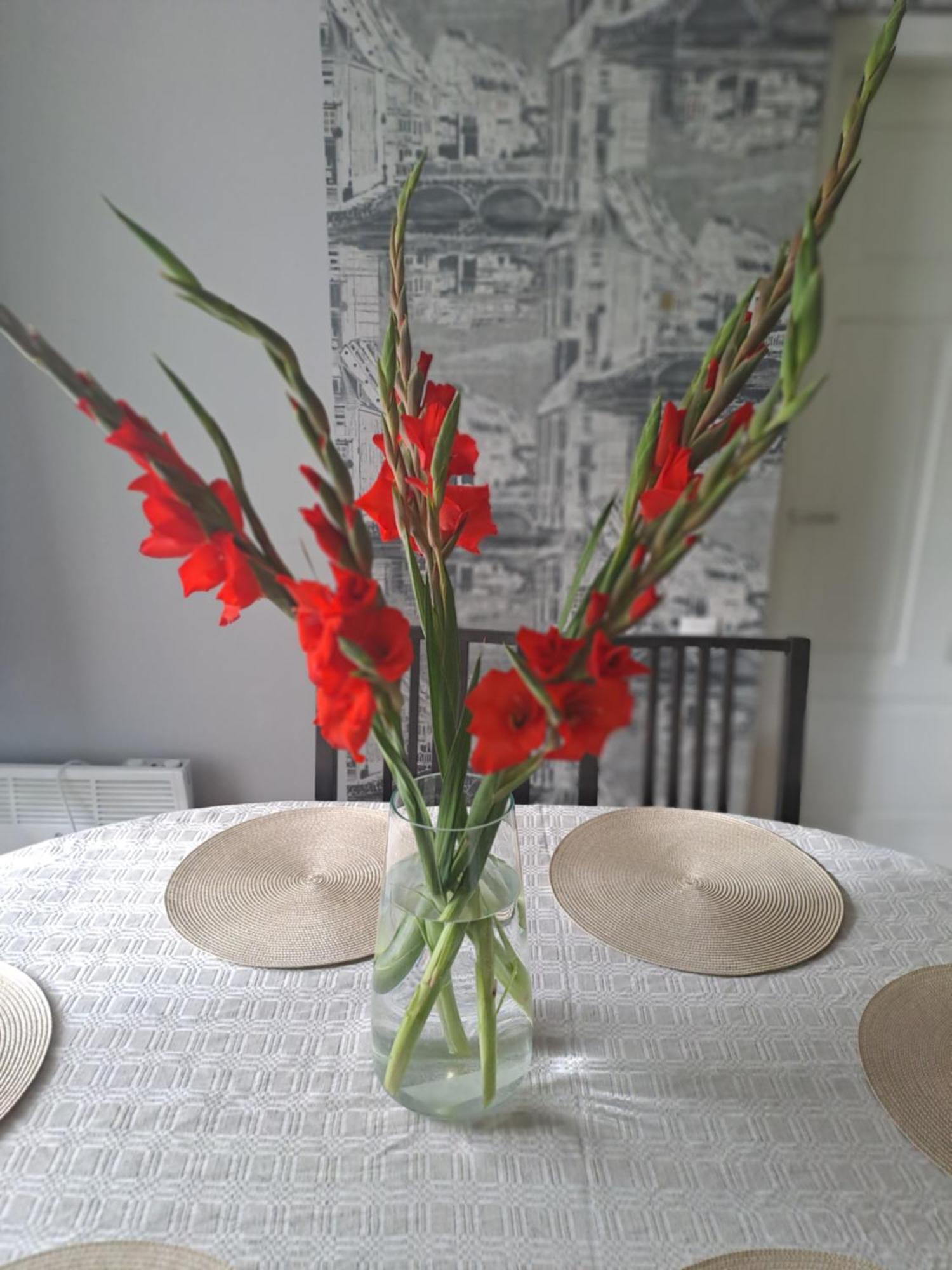 Kica Kroga Apartaments Ainazi Luaran gambar